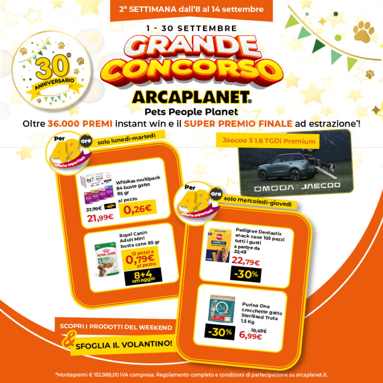Il Grande Concorso Arcaplanet