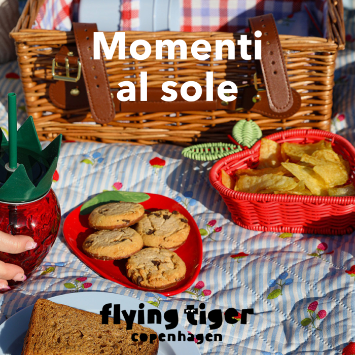Picnic Flying Tiger Copenhagen