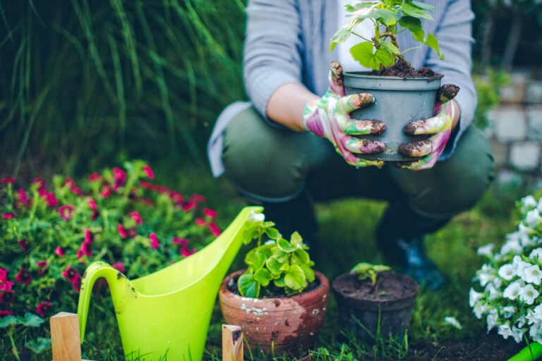 Scopri la bellezza della primavera con il giardinaggio!