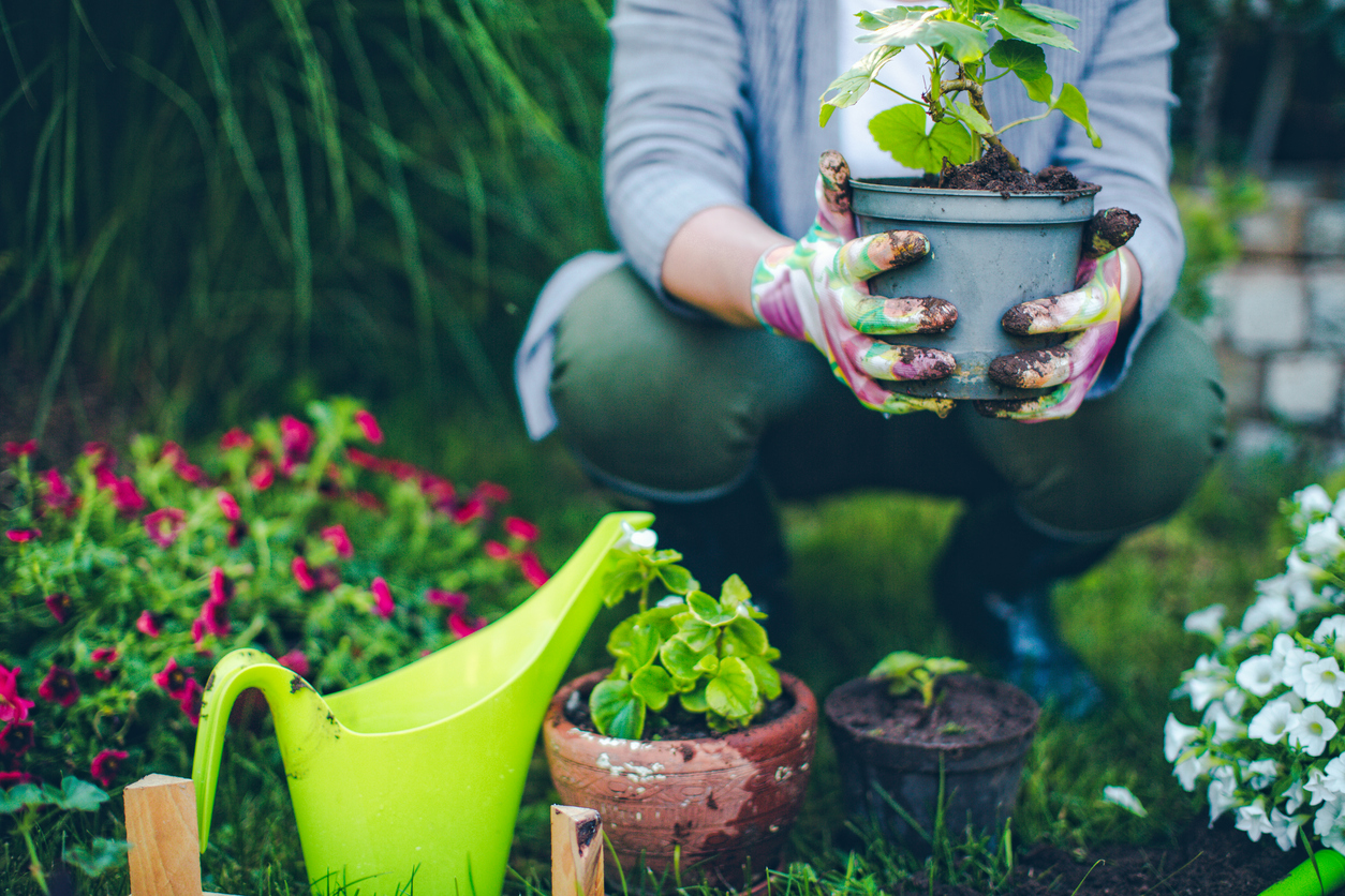 Scopri la bellezza della primavera con il giardinaggio!