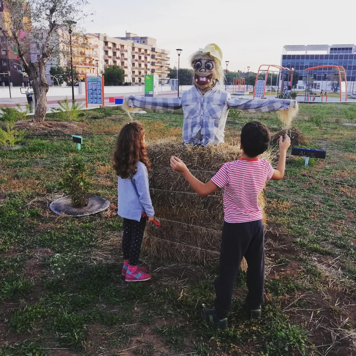 L'orto urbano