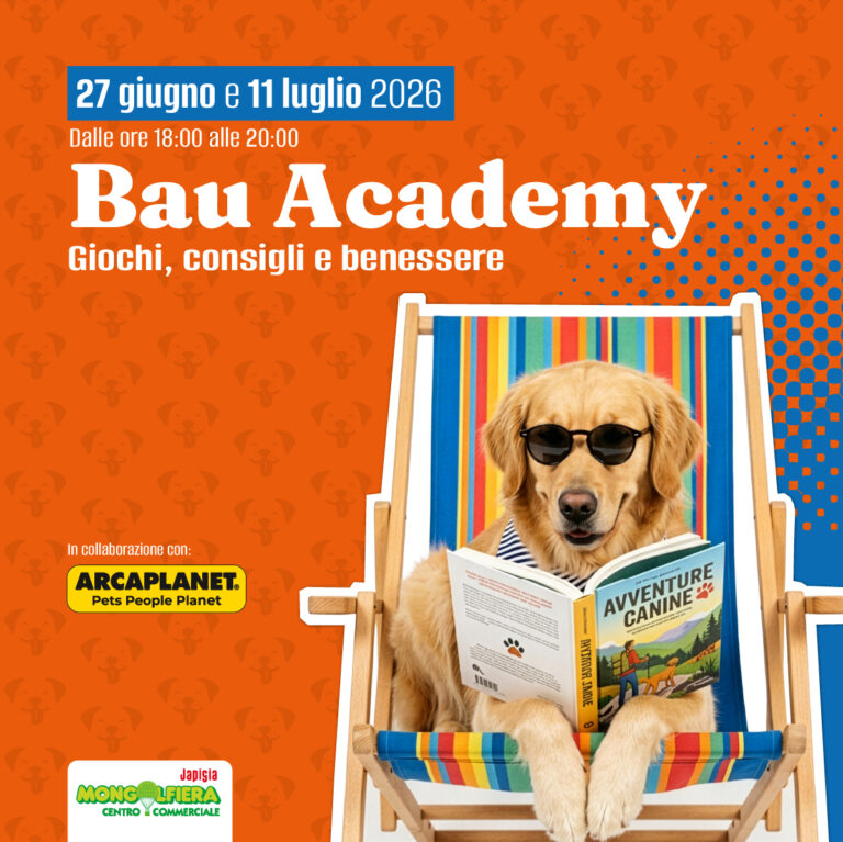 Bau Academy